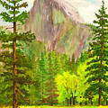 Half Dome with trees