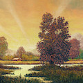 Sunset Color
