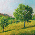 Two Trees In Tehachapi
